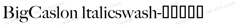 BigCaslon ltalicswash字体转换